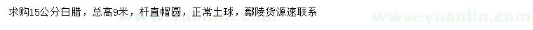 求購(gòu)15公分白蠟