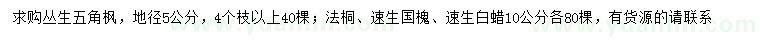 求購叢生五角楓、法桐、速生國槐等