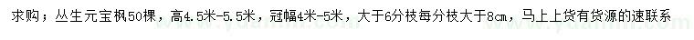 求購高4.5-5.5米叢生元寶楓