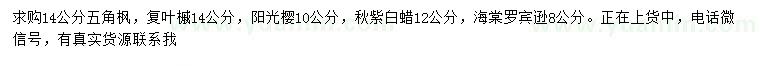 求購五角楓、復葉槭、陽光櫻等