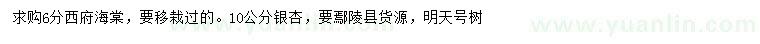 求購(gòu)6分西府海棠、10公分銀杏