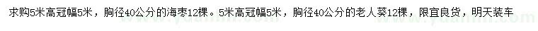 求購胸徑40公分海棗、老人葵