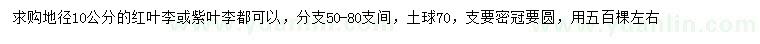 求購(gòu)地徑10公分紅葉李、紫葉李