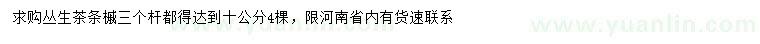 求購三桿叢生茶條槭