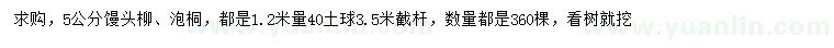 求購5公分饅頭柳、泡桐