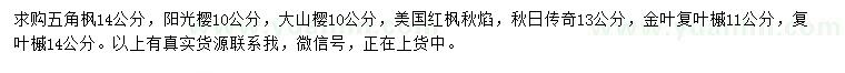 求購(gòu)五角楓、陽(yáng)光櫻、大山櫻等