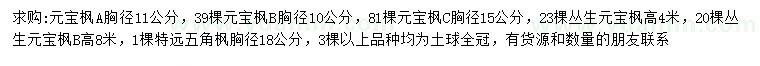 求購(gòu)元寶楓、叢生元寶楓、五角楓