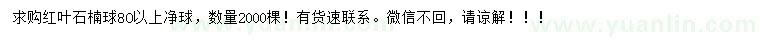 求購80公分以上紅葉石楠球