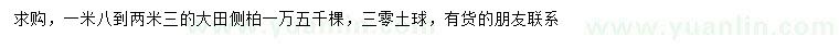 求購1.8-2.3米側(cè)柏