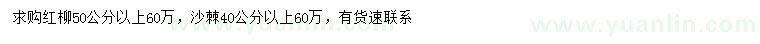 求購(gòu)50公分以上紅柳、40公分以上沙棘