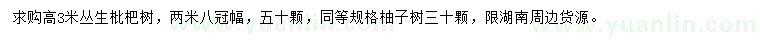 求購高3米叢生枇杷樹、柚子樹