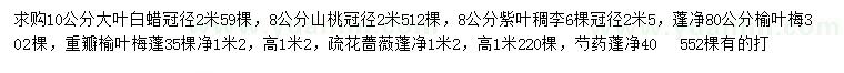 求購大葉白蠟、山桃、紫葉稠李等