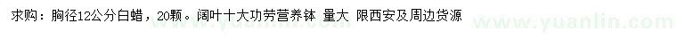 求購胸徑12公分白蠟、闊葉十大功勞