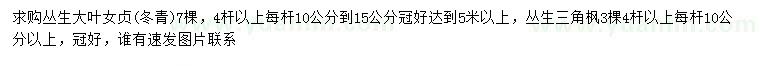 求購4桿以上叢生大葉女貞、叢生三角楓