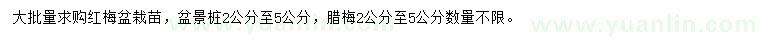 求購2-5公分紅梅、臘梅