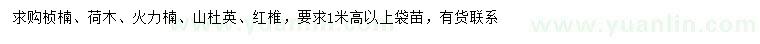 求購楨楠、荷木、火力楠等