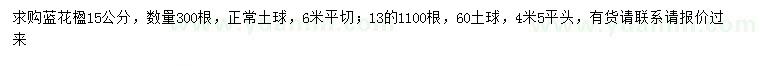 求購(gòu)13、15公分藍(lán)花楹