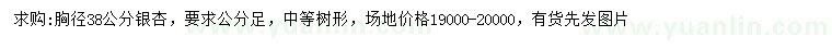 求購胸徑38公分銀杏