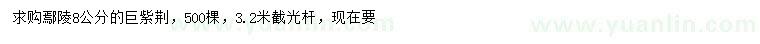 求購(gòu)8公分巨紫荊