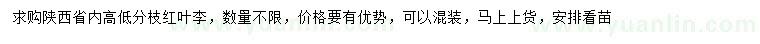 求購高8-15公分紅葉李