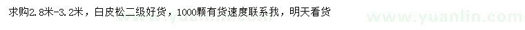 求購2.8-3.2米白皮松