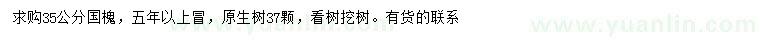 求購(gòu)35公分國(guó)槐