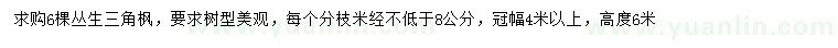 求購高6米叢生三角楓