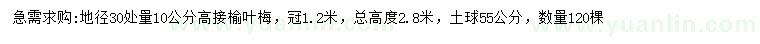 求購30量10公分高接榆葉梅
