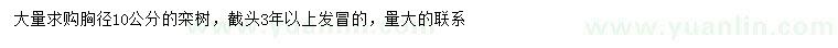 求購胸徑10公分欒樹