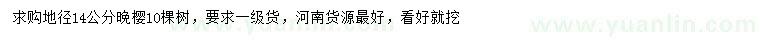 求購地徑14公分晚櫻