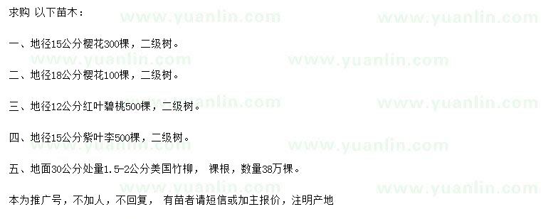 求購(gòu)櫻花、紅葉碧桃、紫葉李等