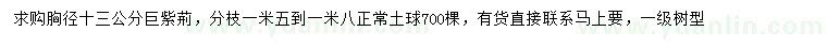 求購胸徑13公分巨紫荊