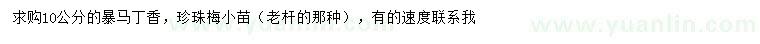 求購10公分暴馬丁香、珍珠梅小苗