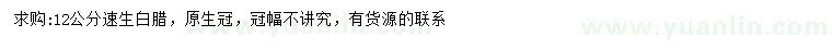 求購(gòu)12公分速生白蠟