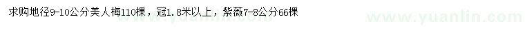 求購(gòu)地徑9-10公分美人梅、7-8公分紫薇