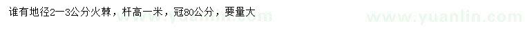 求購地徑2-3公分火棘