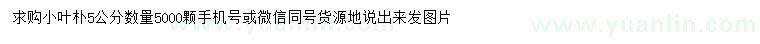 求購5公分小葉樸