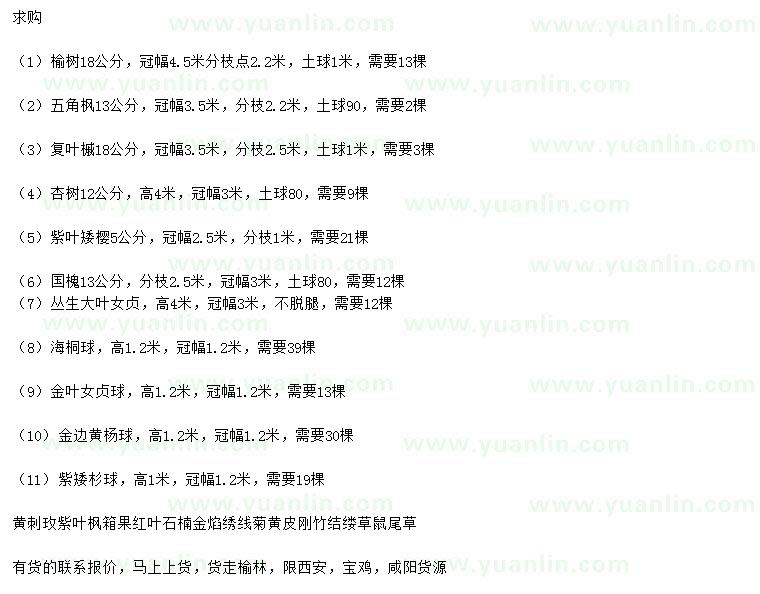 求購(gòu)榆樹(shù)、五角楓、復(fù)葉槭等