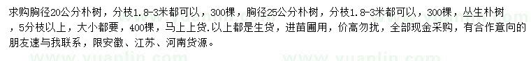 求購胸徑20、25公分樸樹