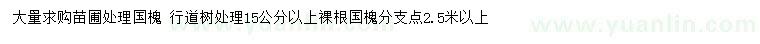 求購15公分以上國槐