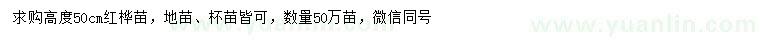 求購高50公分紅樺