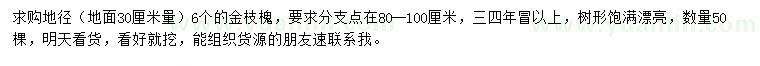 求購30量6公分金枝槐