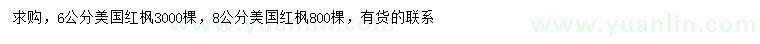 求購6、8公分美國紅楓