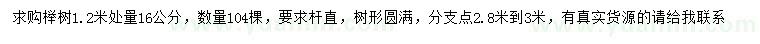求購1.2米量16公分櫸樹