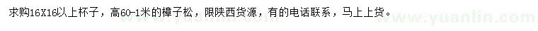 求購高0.6-1米樟子松
