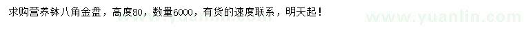 求購高80公分八角金盤