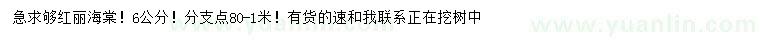 求購6公分紅麗海棠