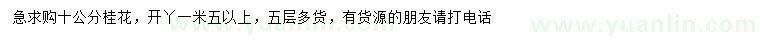 求購10公分桂花