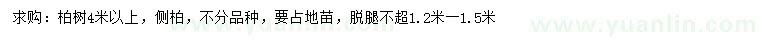 求購(gòu)4米以上側(cè)柏