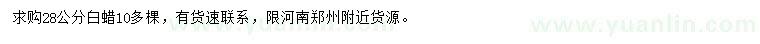 求購28公分白蠟